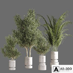 indoor plant set 19