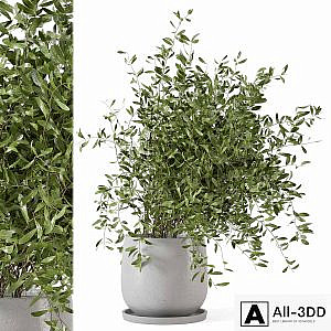 Indoor Plants in rusty Concrete Pot - Set 281