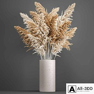 Bouquet of dried flowers in a white vase with pampas, Pampas grass, Cortaderia, branch. 192.