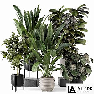 Indoor Plants in Ferm Living Bau Pot Large - Set 1208