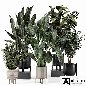 Indoor Plants in Ferm Living Bau Pot Large - Set 1292