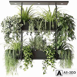 Hanging plants, indoor plant, hanging plants OSLO