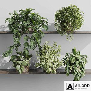 wall plant - set Indoor plant 408 plants on shelf in handmade wooden basket