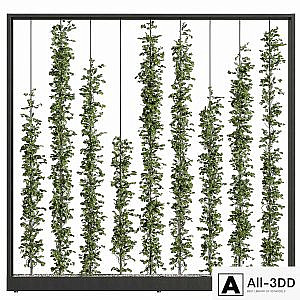 Green Wall - Plants partition 06