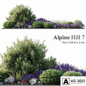 Alpine Hill 7