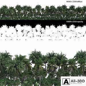 Palm Forest Panorama with Opacity Map