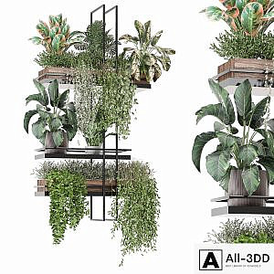 indoor plants in metal box 1580