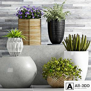 PLANT SET - 72