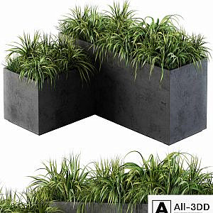 Outdoor Concrete Plant Box with Cereals and Green Grass