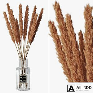 Pampas grass 05