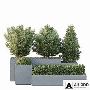 HQ Tree and bush garden box outdoor VOL 27