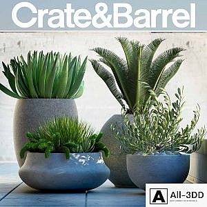 PLANTS 78