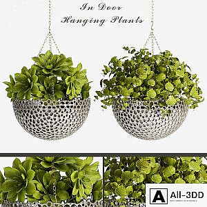 PLANT SET -62