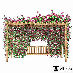 bougainvillea garden