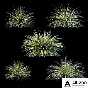 Plants for exterior v3