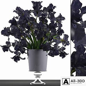 Collection of flowers 46. Black Irises. Black Irises, vase, table decor, luxury
