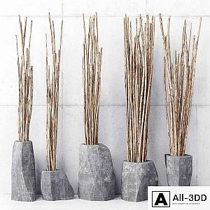 Branches in vases
