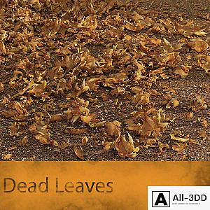 Dead Leaves