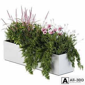 Planter Box For Windows Pink Flower