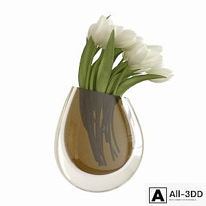 White tulips in a vase