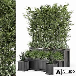 Outdoor Plants Bamboo and bush in Wooden Pot -Set 195