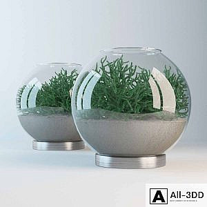 Aquarium with hatioroj and sand.