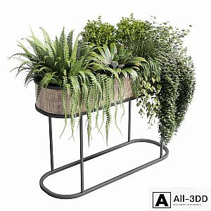 collection Indoor plant 116 stand pot bax wood vase pot fern tree grass