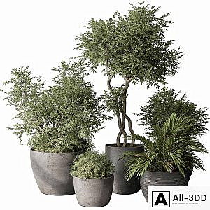 Outdoor Plant Set 393 - Plant Set in Concrete Pot
