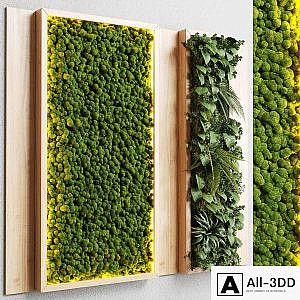 wall garden and vertical moss in wooden frame 22