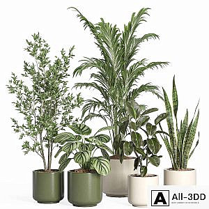 indoor plant set 56- ceramic pot