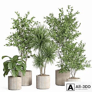 indoor plant set 59-Concrete pot