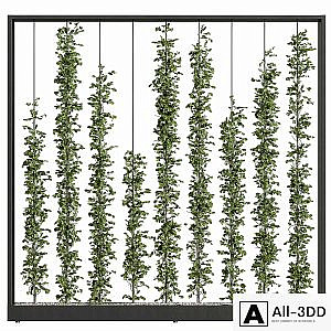 Green Wall - Plants partition 06