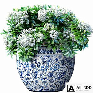 Bouquet of white flowers in a potted vase for decoration