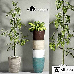 PLANT-41
