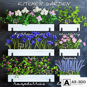 Kitchen garden 5
