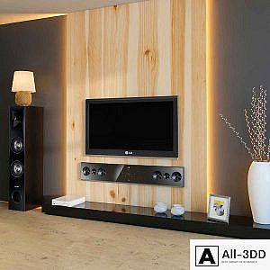 The wall with TV
