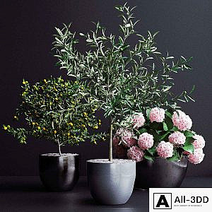 Decor, trees