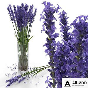 Lavender Bouquet