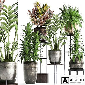Plant Collection 362. luxury flowerpot, croton, fern, Zamioculcas, indoor plants, luxury flowerpot, flower stand, interior