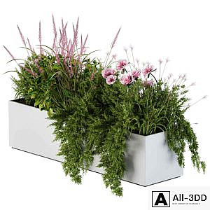 Planter Box For Windows Pink Flower