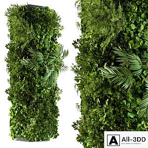 Vertical Garden - Column Plants