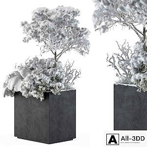 Outdoor Plants tree in Concrete Pot Snow - Set 108