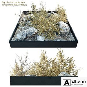 Dry plants in rocky base