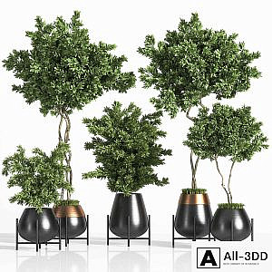 indoor plant set 01