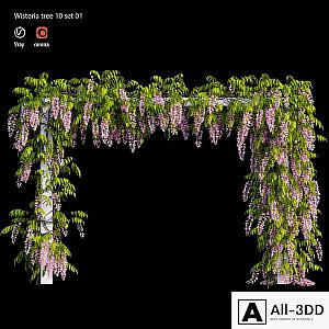 wisterial tree 10 set 01