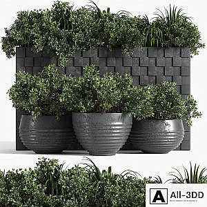 outdoor plant collection_Box