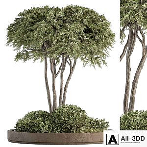 Garden set ivy and Bush - Garden Set 19