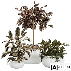 Vase Pack 8