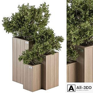 Outdoor Plant Set 298 - Wooden Plant Box