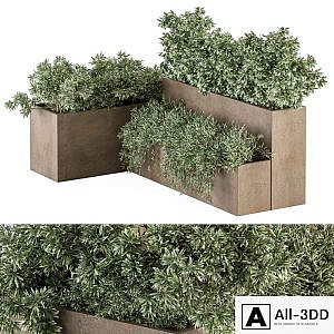 Outdoor Plant Set 278 - Concrete Plant Box Set